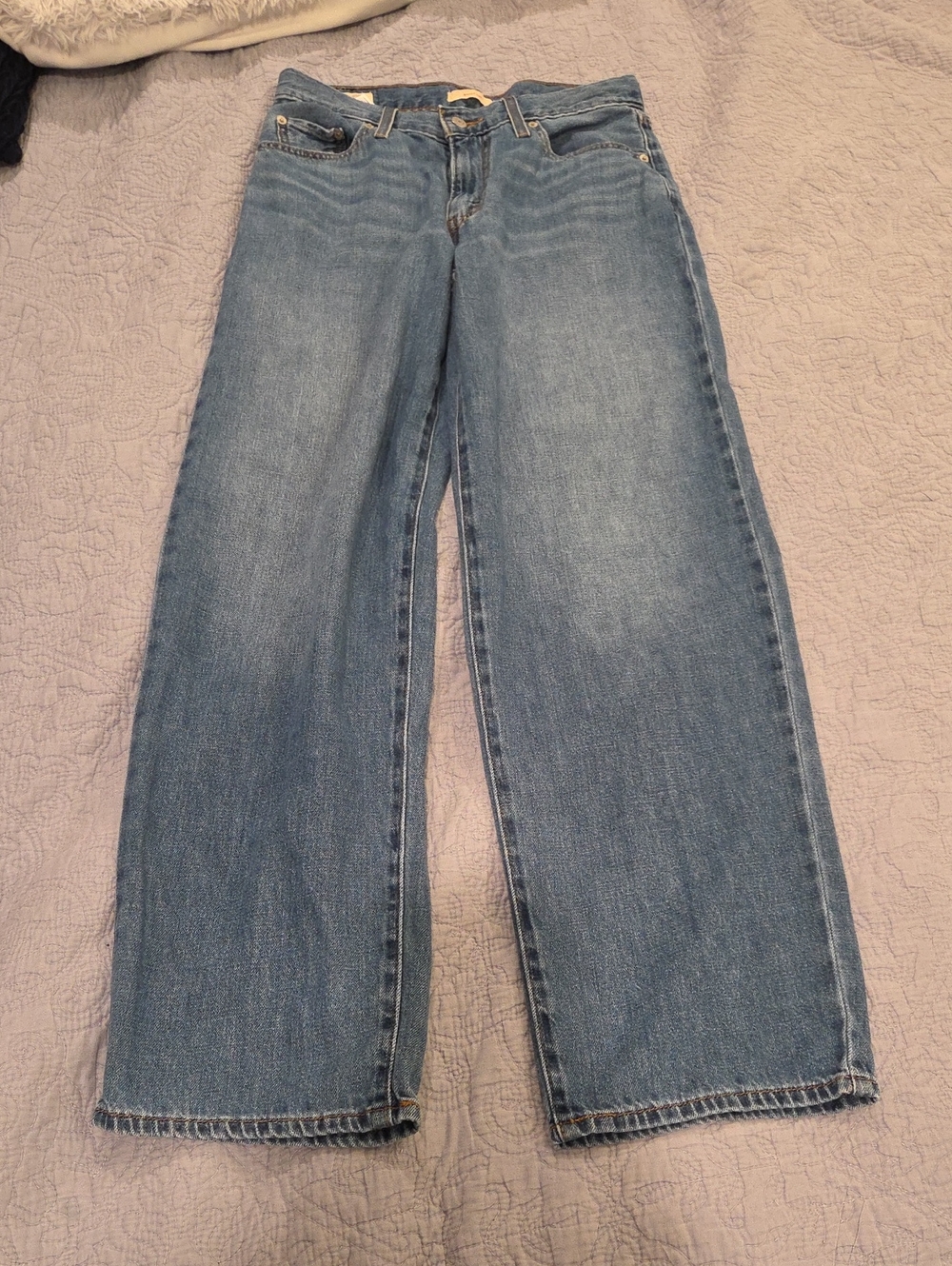 Levi's Premium Baggy Dad Linen Blend Jeans Heavy Check Blue W26